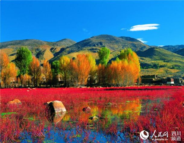 渭南文坛 ｜ 石俊荣：一地西瓜