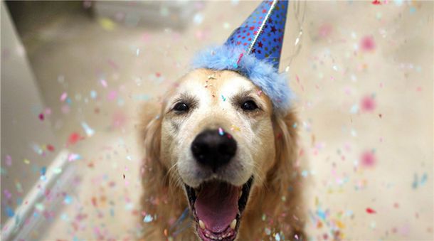 猎仇者的演员表和角色介绍