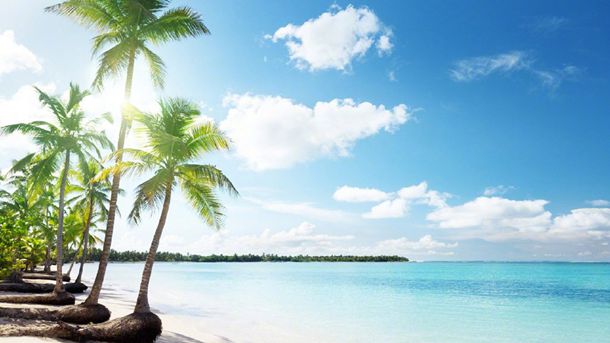 牛脆骨的营养价值及功效作用