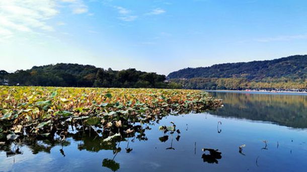郭德纲语录 郭德纲语录