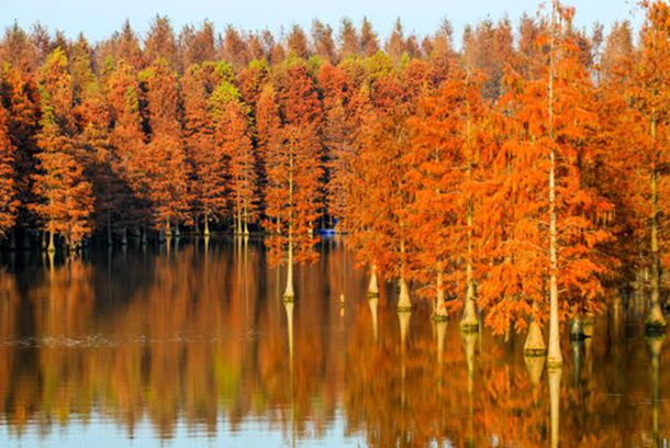 夫妻房事时千万别说这3句话，小心毁掉你们的夫妻感情！