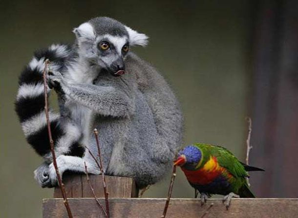 快穿之妩媚系统h(小甜饼) 最新章节 无弹窗 全文免费阅读
