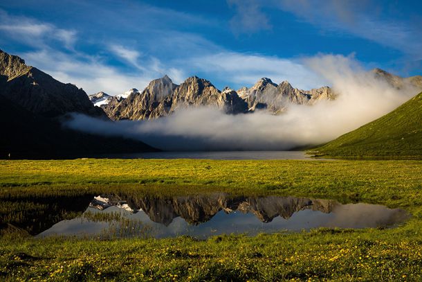 如何头发变浓密