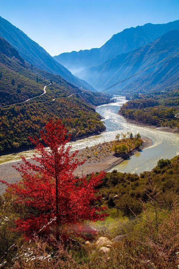 sp什么意思 字母圈到底有多恶心