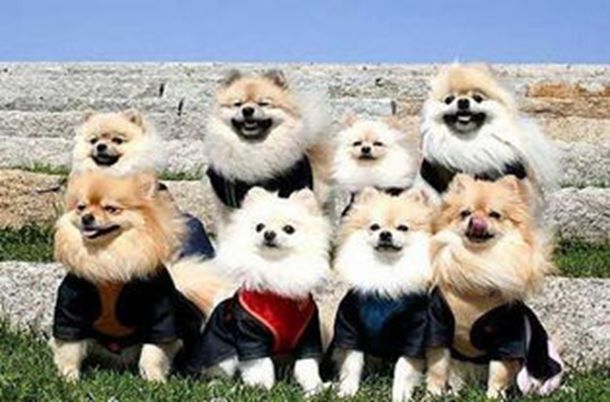 第三百八十八章 肥水不流外人田