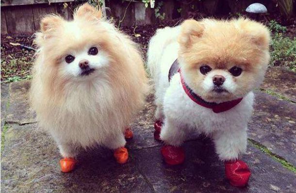 意外得到空间囤物资穿越文 意外得到空间囤物资穿越文