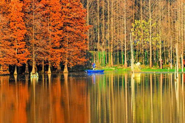 疯狗电影完整版播放