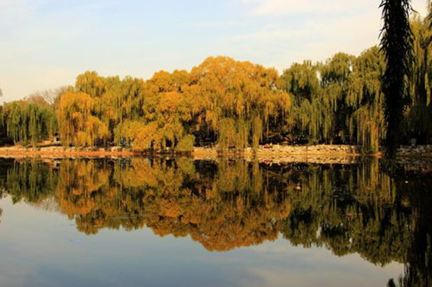 开局签到荒古圣体【无敌寂寞】爆爽流（幻樱空剧社）