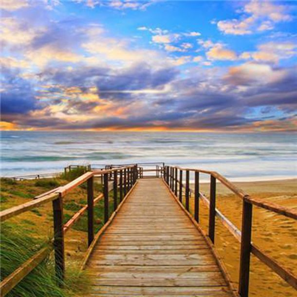 海贼王女帝波雅·汉库克同人画集