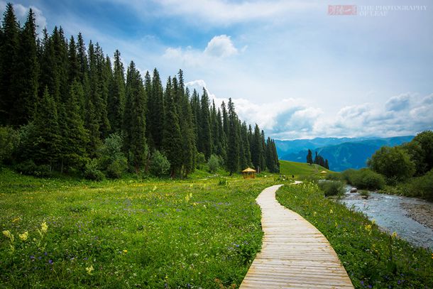 张楠个人资料简介,主演的电视剧电影,图片,写真