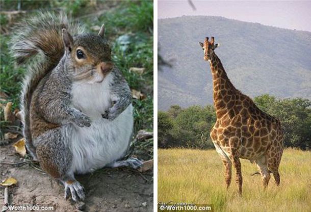 一家幸福美满的句子朋友圈261句