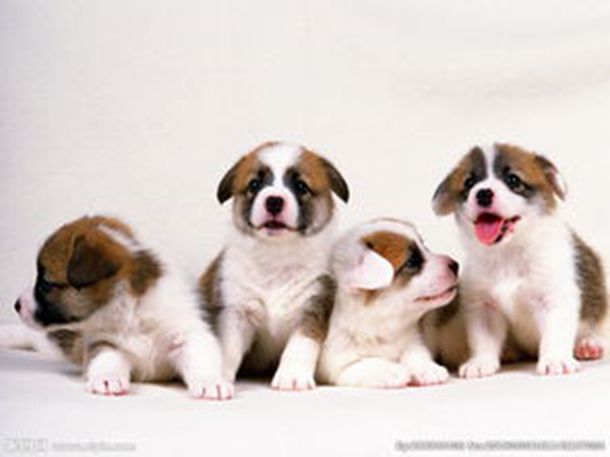 快穿:系统直呼牙甜掉了 快穿:系统直呼牙甜掉了