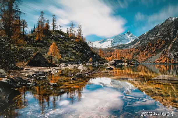 漫画：支持小微企业发展