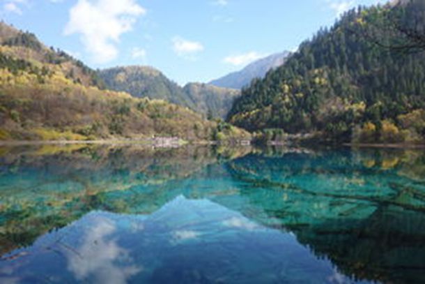 女子公交车上遭人第一次性爱_两性养生