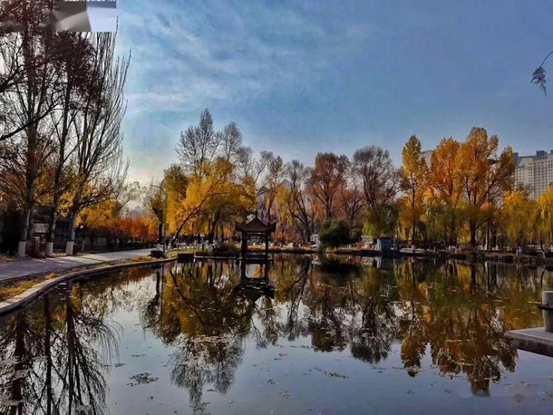 小学家长会教师演讲稿范文