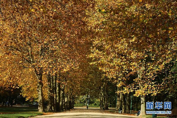 攻受出轨或潜规则合集(双性) 攻受出轨或潜规则合集(双性)