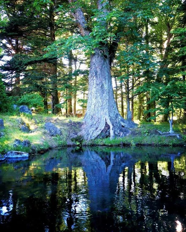 复兴之路电影观后感