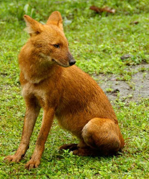 冷藏的母乳加热后，宝宝睡着了一口没喝过，还可以再喝吗？