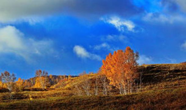 黑板上的记忆作文（优秀5篇）