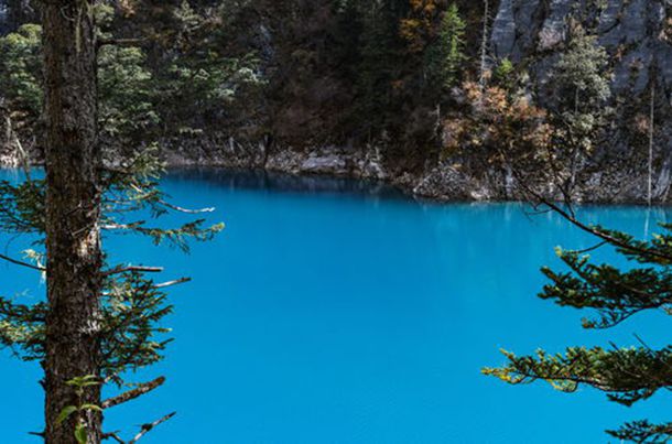 2019年党员公开承诺书十篇