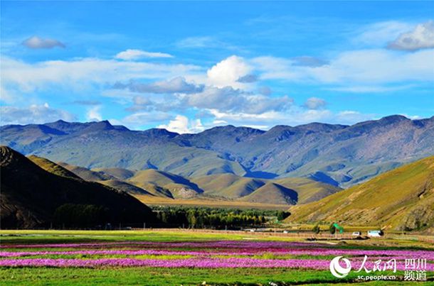 老板把车开到没人的地方 做不妥的事情应不应该拒绝？