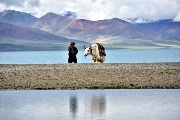 汪小敏个人资料（人美歌不红的汪小敏）