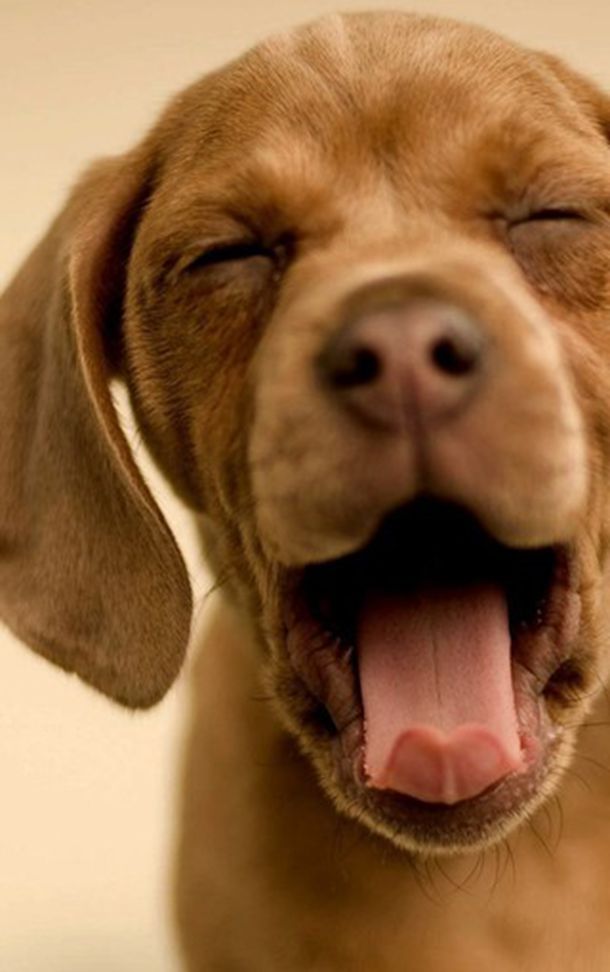 我找到了白血病康复的正路