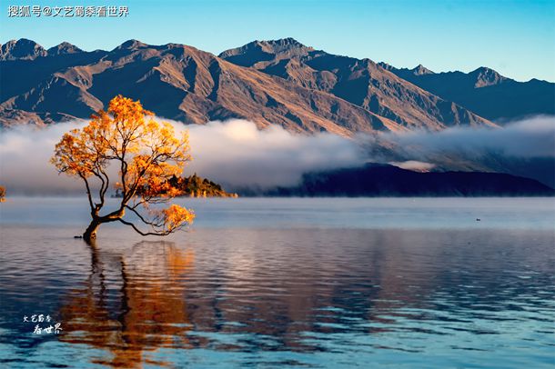 植物大战僵尸国际服破解版2024