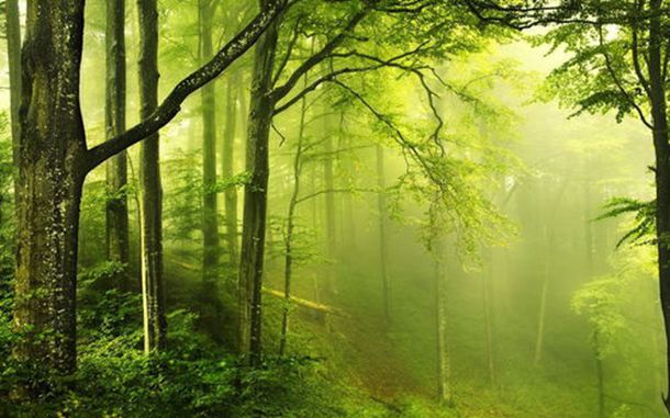 土匪对她任意蹂躏、凌辱，撕去乳皮，英勇牺牲的烈士丁佑君