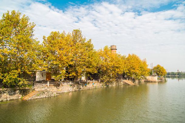 济南网络流行语,济南网络红人排行榜 济南网络流行语,济南网络红人排行榜