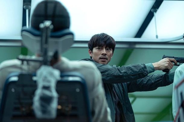 苘麻子对心脑血管有哪些功效(探究苘麻子对心脑血管的益处)