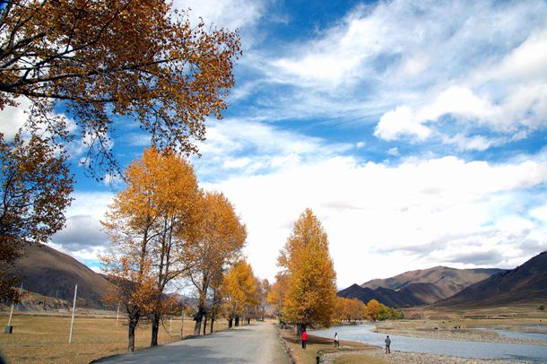 我的猛男爸爸作文