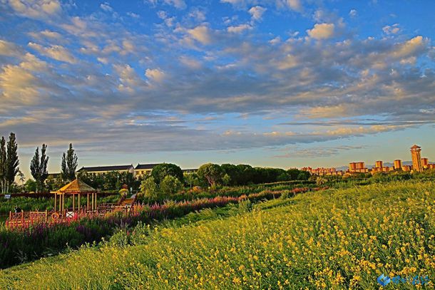 何超仪个人资料简介