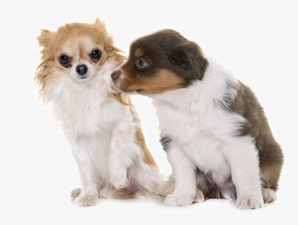 怎么开导老婆接受其它男人(如何洗脑老婆接受小三)