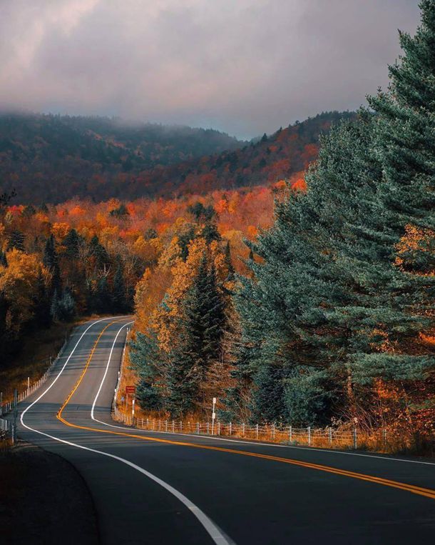 《群星闪耀时》：卑微的四所所长左荣华 ，还记得班长老马吗？