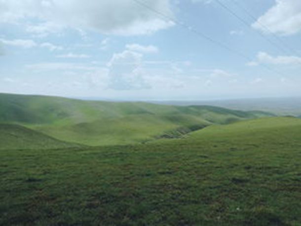 @嘉兴人，这款“进口神药”，你家里可能也有！