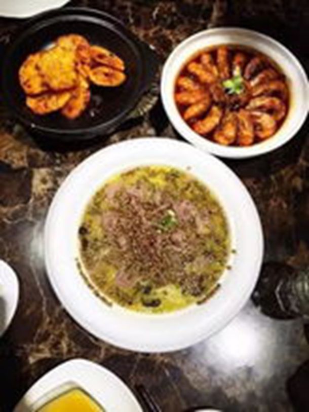 龙梅子的个人资料