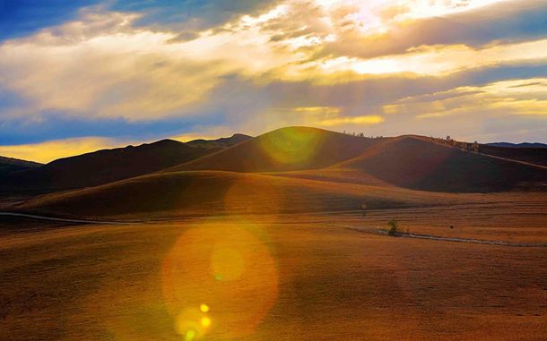 婴儿下巴上的小扇贝：美味的启蒙之旅