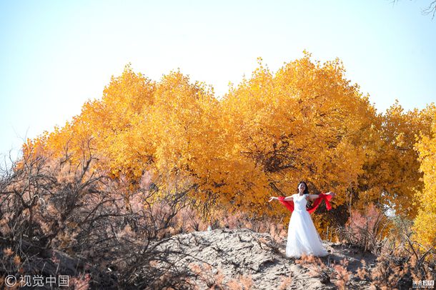 为什么姬松茸千万别拿来煲汤 三种人不宜吃姬松茸