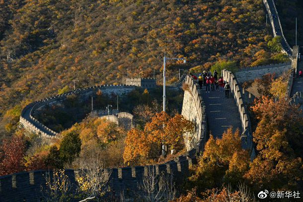 清明小长假带宝宝出门游玩？扫墓？一定要注意这几个事情！